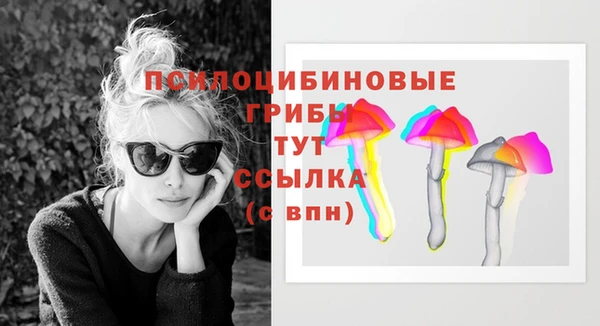 а пвп мука Арсеньев